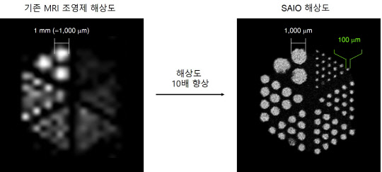 천진우 IBS 나노읭학 연구단장 연구팀은 현재 MRI보다 10배 이상 더 정밀한 영상을 얻을 수 있는 'MRI 조영제'를 개발했다.   IBS 제공
